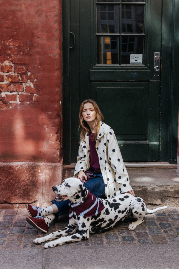 Burgundy BARNIE sneakers