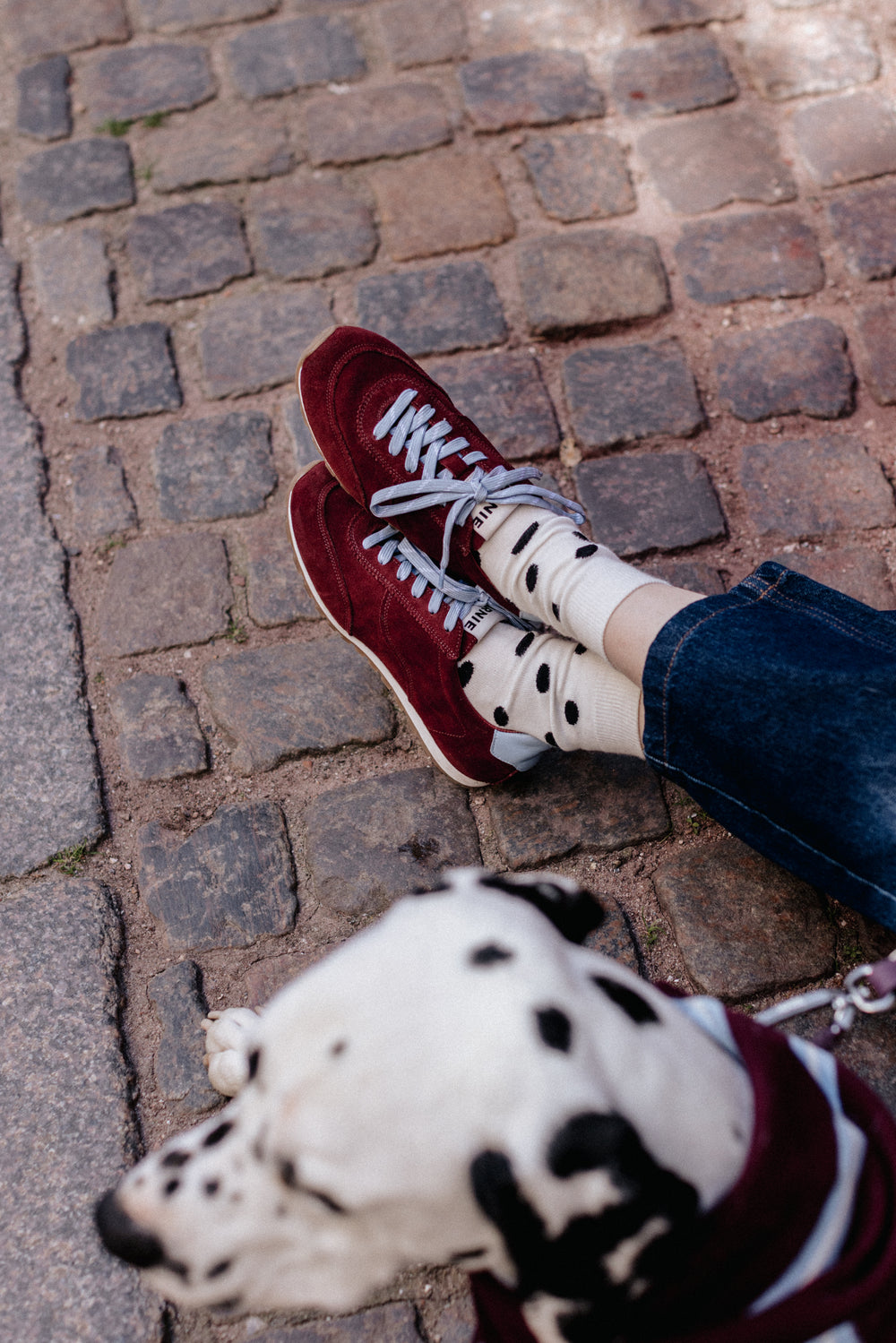 Sneakers BARNIE bordeaux