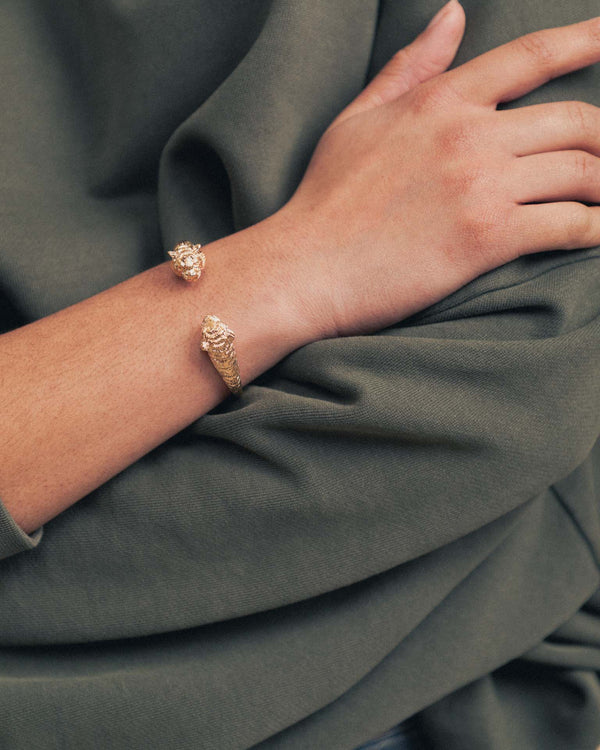 Jonc Léonard têtes de tigre 4