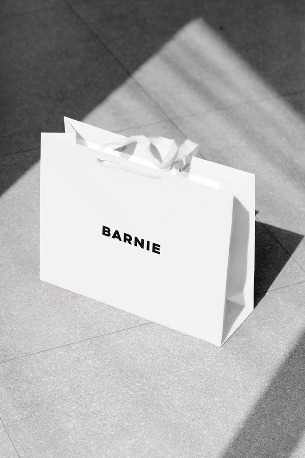 Sac cadeau BARNIE (38x12x28cm)